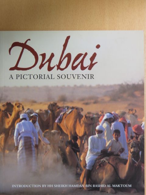 David Steele - Dubai [antikvár]