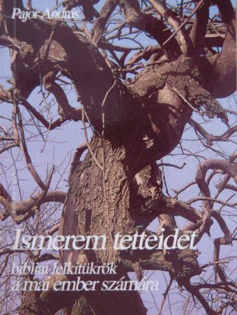 Pajor András - Ismerem tetteidet [antikvár]