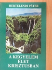 Hertelendi Péter - A kegyelem élet Krisztusban [antikvár]
