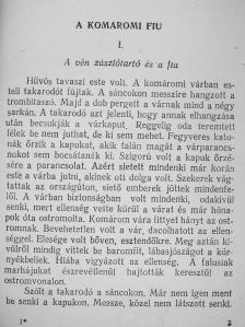 Krudy Gyula - A komáromi fiu [antikvár]