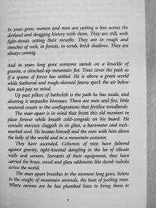 China Miéville - Iron Council [antikvár]