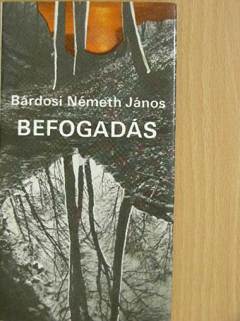 Bárdosi Németh János - Befogadás [antikvár]