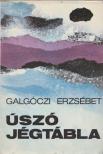 GALGÓCZI ERZSÉBET - Úszó jégtábla [antikvár]