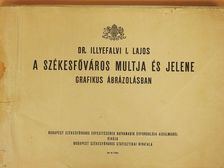 A székesfőváros multja és jelene [antikvár]
