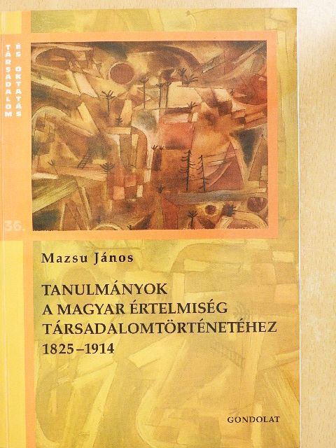 Mazsu János - Tanulmányok a magyar értelmiség társadalomtörténetéhez 1825-1914 [antikvár]