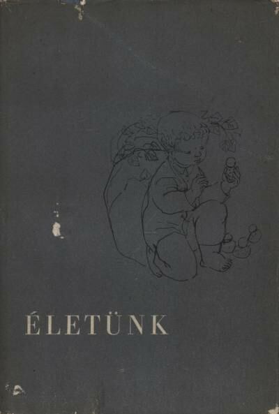 DIÓSZEGI ANDRÁS - Életünk [antikvár]