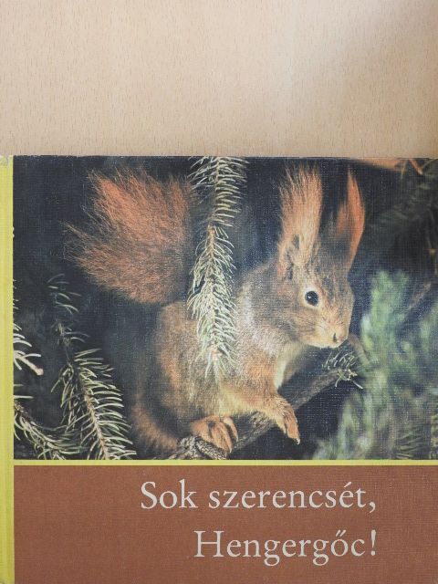 Helmut Massny - Sok szerencsét, Hengergőc! [antikvár]