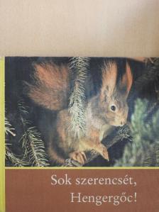Helmut Massny - Sok szerencsét, Hengergőc! [antikvár]