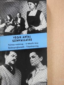 Végh Antal - Színvallatás [antikvár]