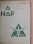 Dr. Sztrilich Pálné - A Nap 1938. január-december [antikvár]