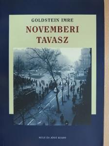 Goldstein Imre - Novemberi tavasz [antikvár]