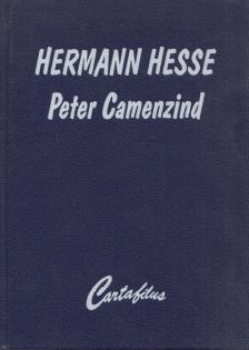 Hermann Hesse - Peter Camenzind [antikvár]
