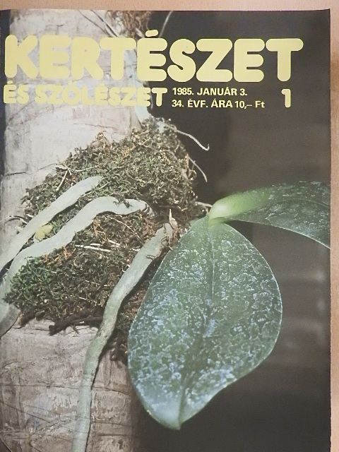 Kiss József - Kertészet és Szőlészet 1985. (nem teljes évfolyam) [antikvár]