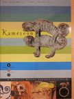 Földessy Edina - Kaméleon [antikvár]