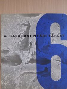 6. Balatoni nyári tárlat [antikvár]