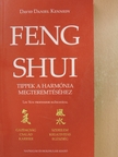 David Daniel Kennedy - Feng shui [antikvár]