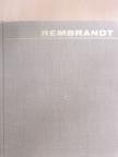V. V. Stech - Rembrandt [antikvár]