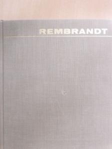 V. V. Stech - Rembrandt [antikvár]