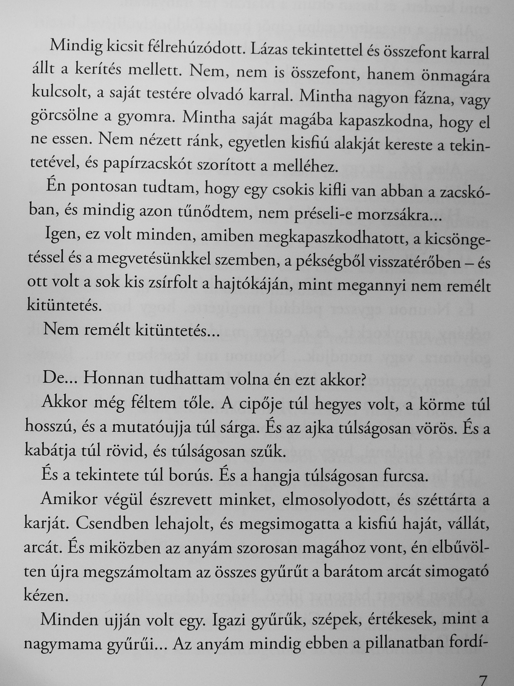 Anna Gavalda - Vigaszág [antikvár]