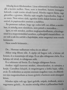 Anna Gavalda - Vigaszág [antikvár]