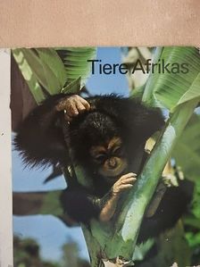 Tiere Afrikas [antikvár]