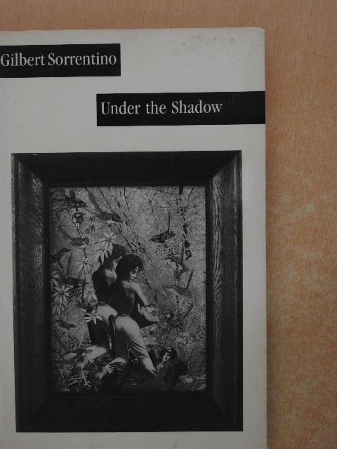 Gilbert Sorrentino - Under the Shadow [antikvár]