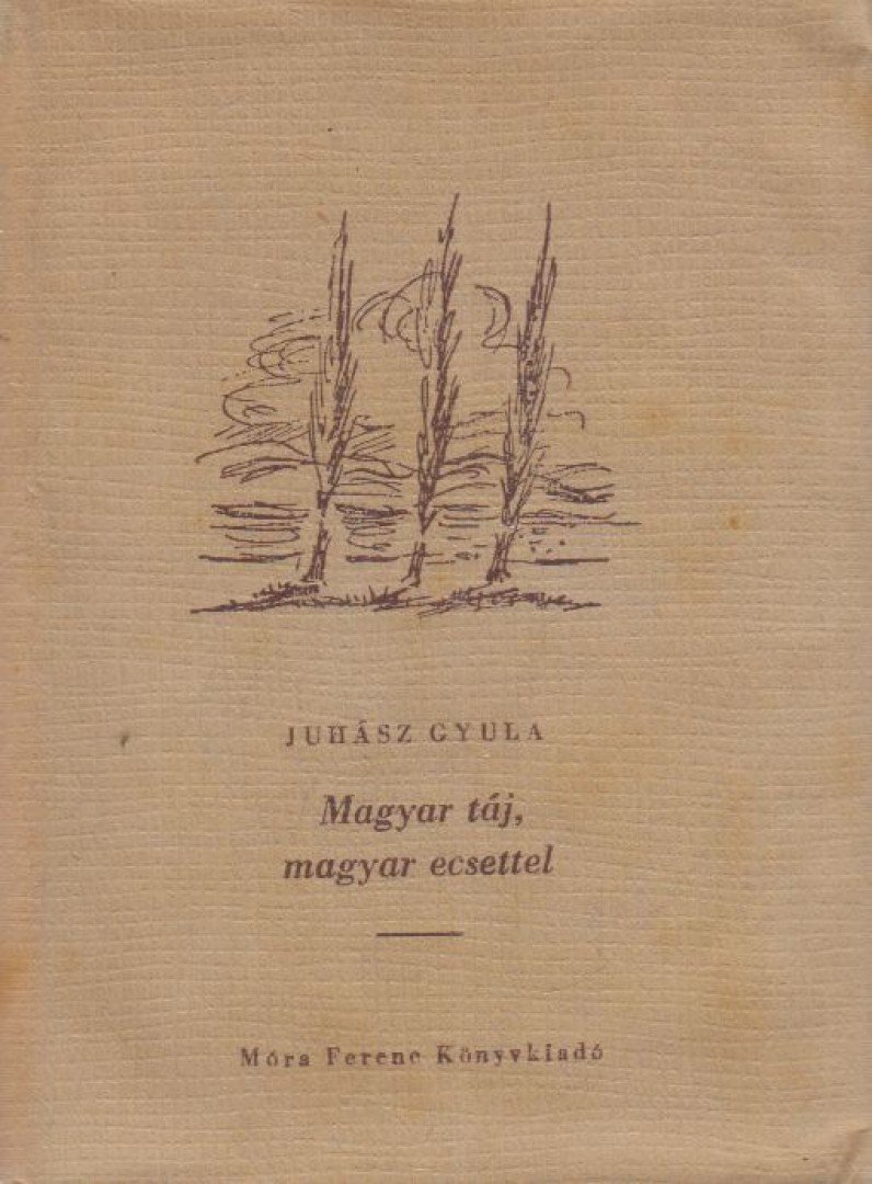 JUHÁSZ GYULA - Magyar táj, magyar ecsettel [antikvár]