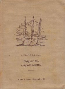 JUHÁSZ GYULA - Magyar táj, magyar ecsettel [antikvár]