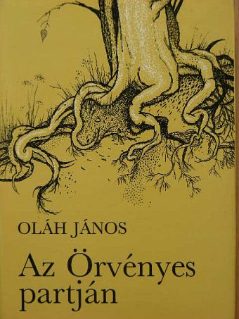 Oláh János - Az Örvényes partján [antikvár]