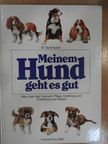 Dr. Doris Kusch - Meinem Hund geht es gut [antikvár]