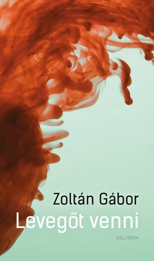 Zoltán Gábor - Levegőt venni [eKönyv: epub, mobi]