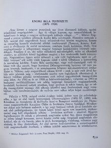 László Emőke - Endre Béla festészete (1870-1928) [antikvár]