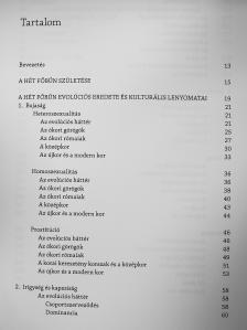 Mirkó Erika - A hét főbűn [antikvár]