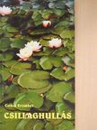 Csikai Erzsébet - Csillaghullás (dedikált példány) [antikvár]