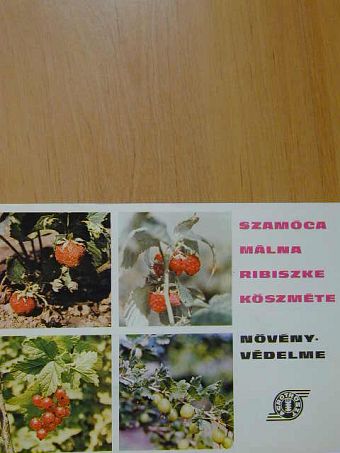 Szamóca, málna, ribiszke, köszméte növényvédelme [antikvár]