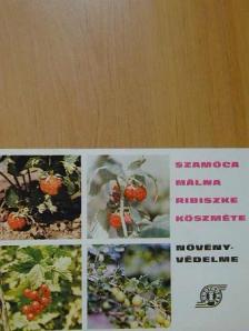 Szamóca, málna, ribiszke, köszméte növényvédelme [antikvár]