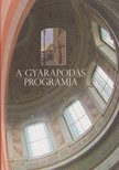Meggyes Tamás - A gyarapodás programja [antikvár]