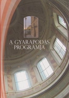Meggyes Tamás - A gyarapodás programja [antikvár]