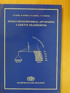 Balázs Sümegi - Human Mitochondrial ATP Binding Cassette Transporter [antikvár]