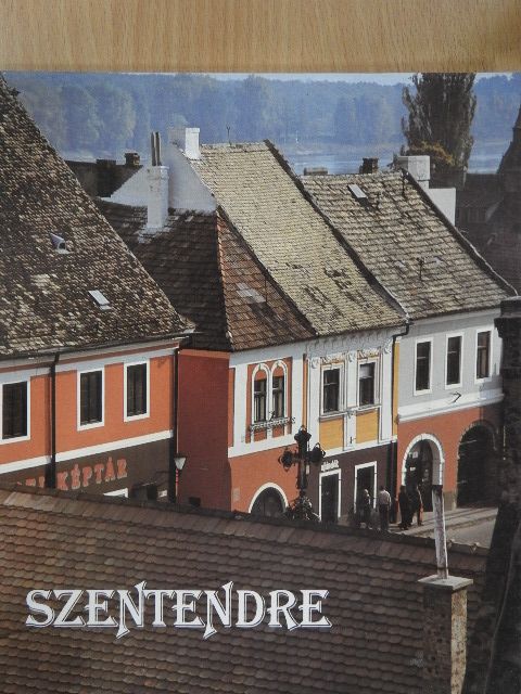 Stojan Vujicic - Szentendre [antikvár]