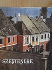 Stojan Vujicic - Szentendre [antikvár]