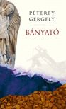 PÉTERFY GERGELY - Bányató