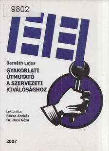 Bernáth Lajos - Gyakorlati útmutató a szervezeti kiválósághoz [antikvár]