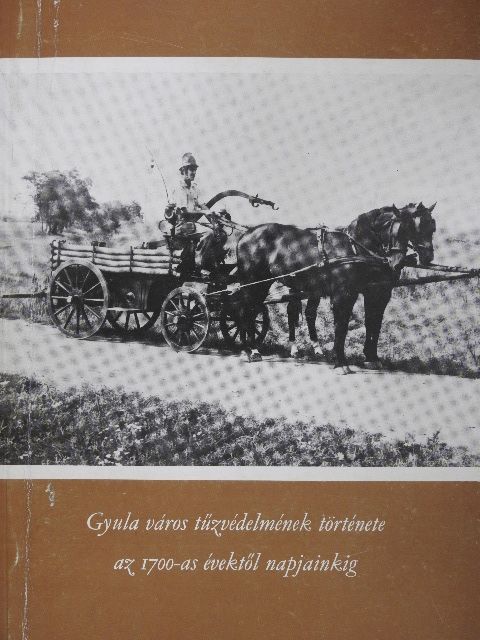 D. Nagy András - Gyula város tűzvédelmének története az 1700-as évektől napjainkig [antikvár]