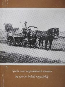 D. Nagy András - Gyula város tűzvédelmének története az 1700-as évektől napjainkig [antikvár]