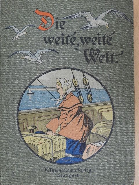 Elisabeth Wetherell - Die weite, weite Welt (gótbetűs) [antikvár]