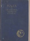 Dr. Rapcsányi Jakab - Baja és Bács-Bodrog vármegye községei [antikvár]