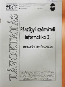 Pénzügyi számviteli informatika I. [antikvár]