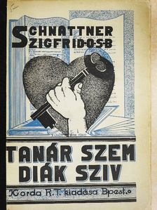 Schnattner Szigfrid - Tanárszem, diáksziv... [antikvár]