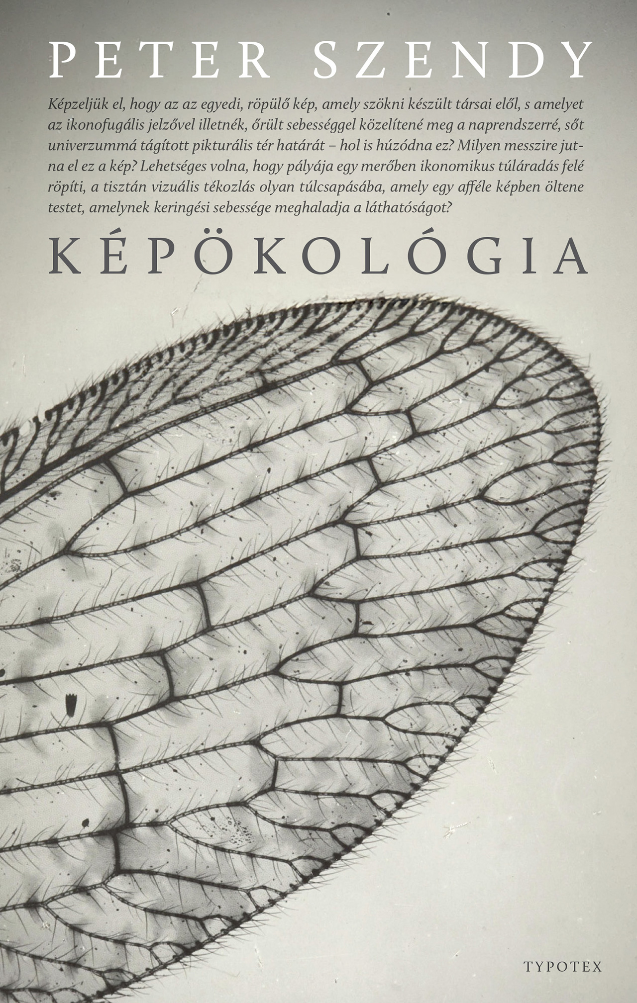 Peter Szendy - Képökológia